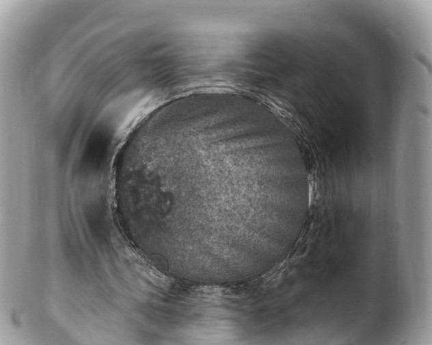 X0000101180339200807071250
