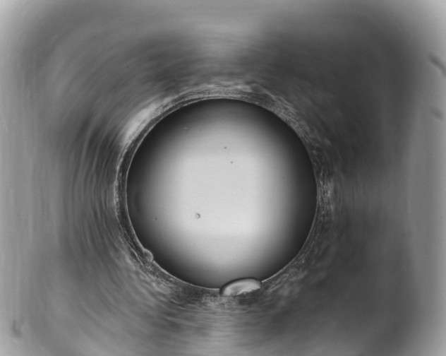 X0000101180340200807071250