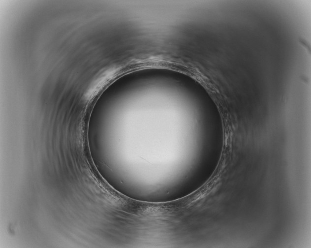 X0000101180341200807071250