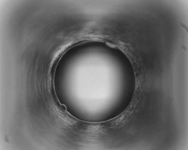 X0000101180342200807071250