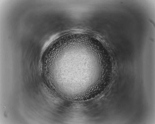 X0000101180343200807071250