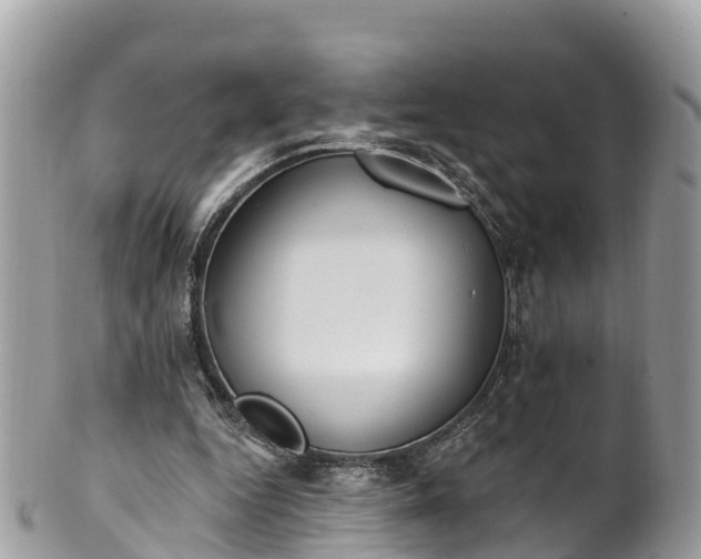 X0000101180344200807071250
