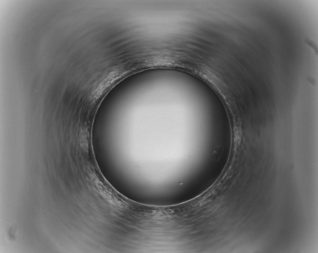 X0000101180345200807071250
