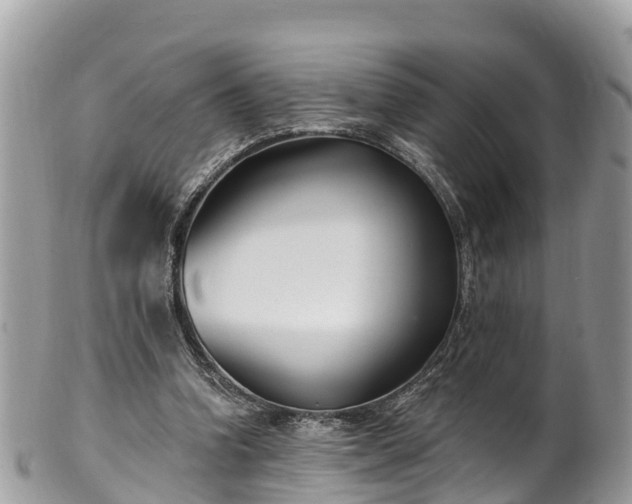 X0000101180346200807071250