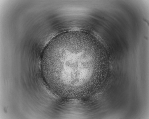 X0000101180347200807071251