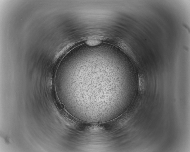 X0000101180348200807071251