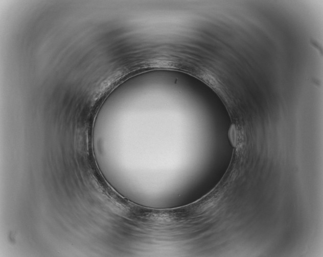 X0000101180349200807071251