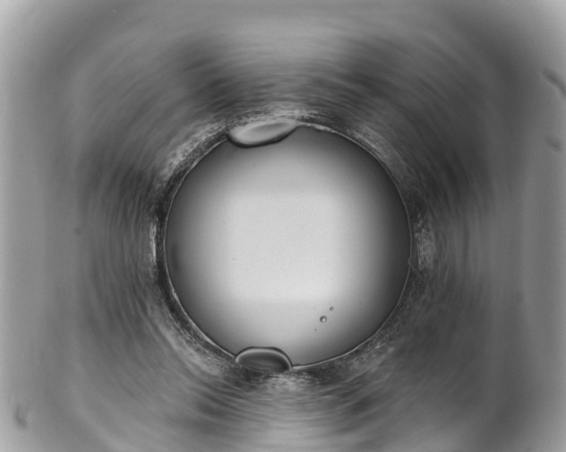 X0000101180350200807071251