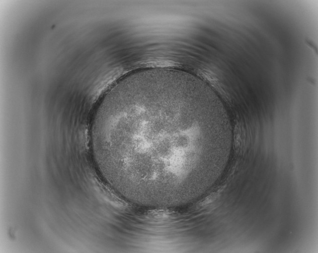 X0000101180351200807071251