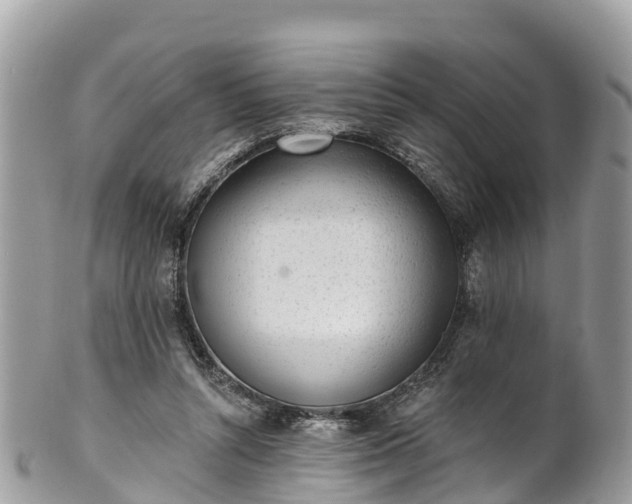 X0000101180352200807071251