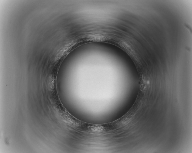 X0000101180355200807071251