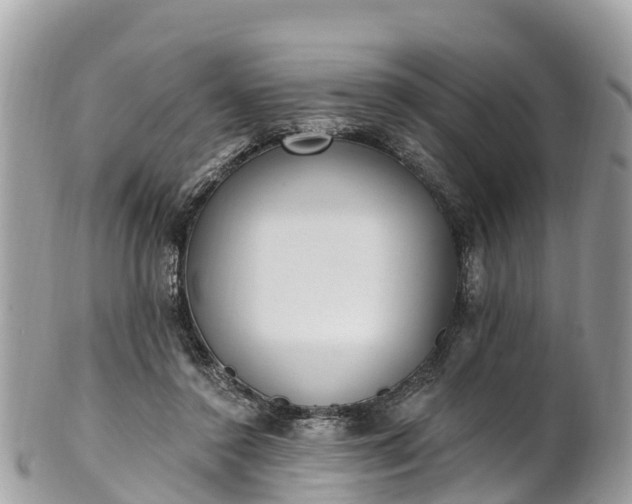 X0000101180356200807071251