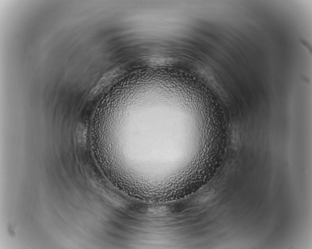 X0000101180357200807071251