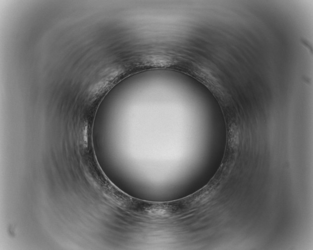 X0000101180358200807071251