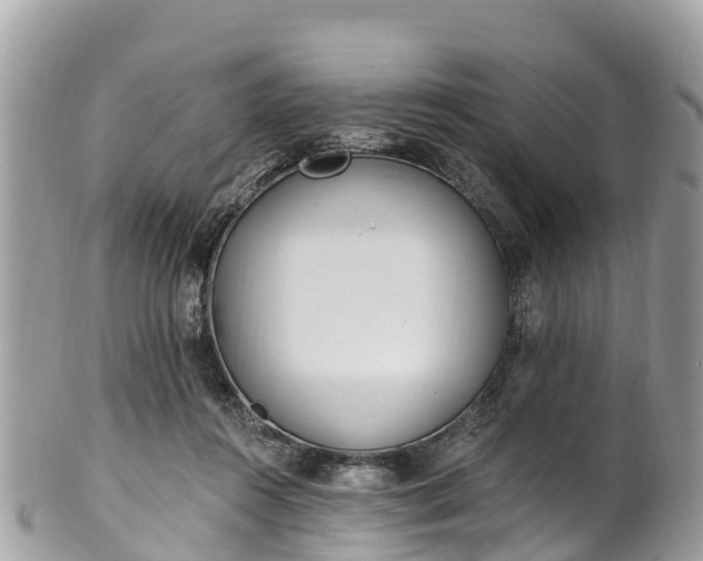 X0000101180360200807071251