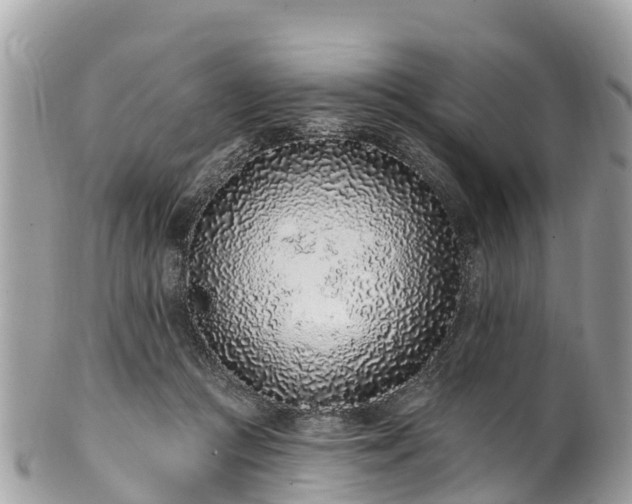 X0000101180361200807071251