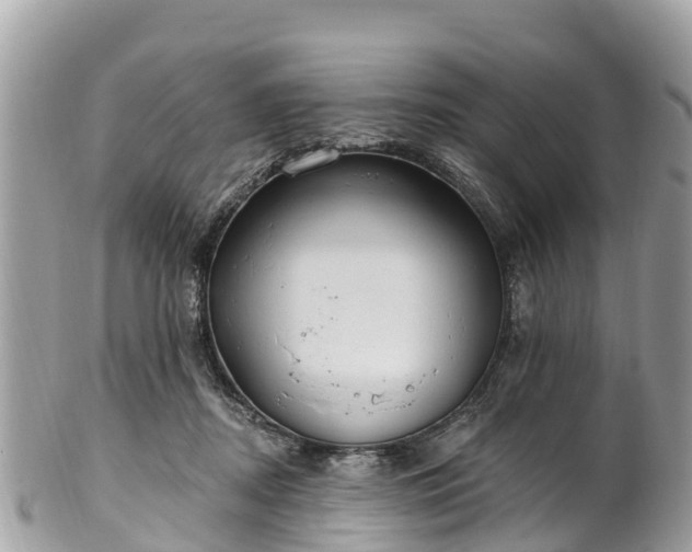 X0000101180362200807071251