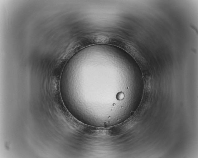 X0000101180363200807071251