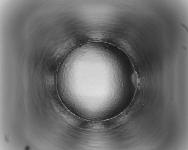 X0000101180365200807071251