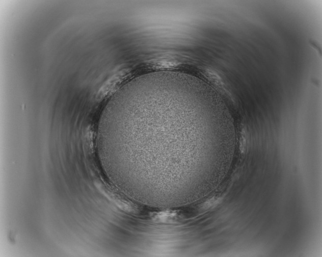 X0000101180366200807071251