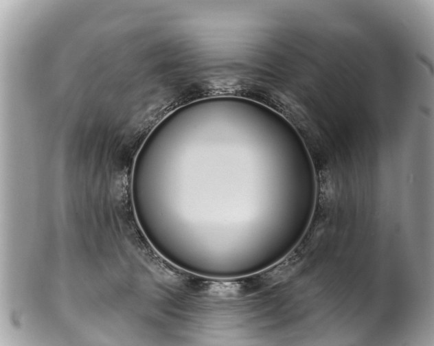 X0000101180369200807071251