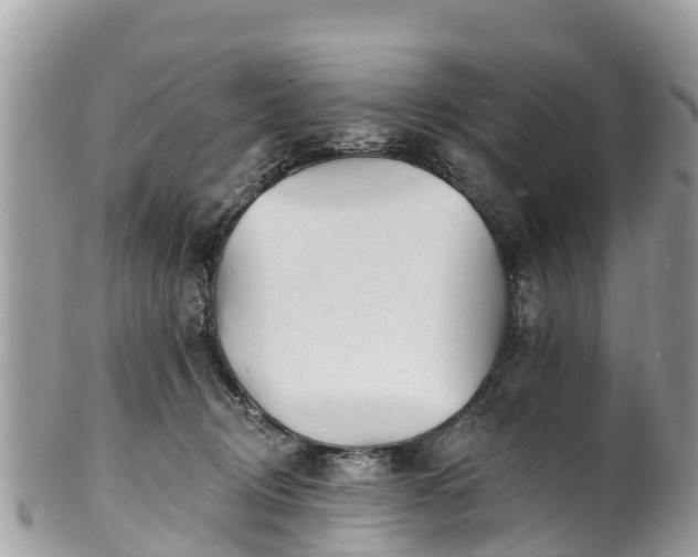 X0000101180370200807071251