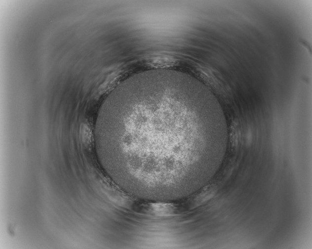 X0000101180371200807071251