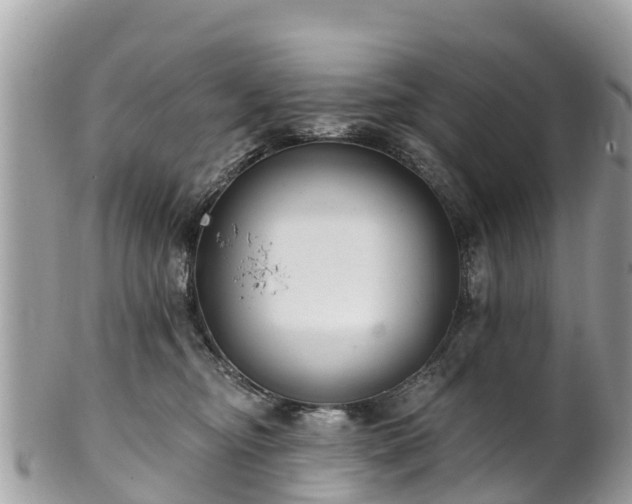 X0000101180374200807071251