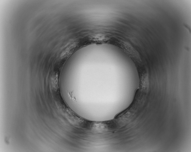 X0000101180376200807071251