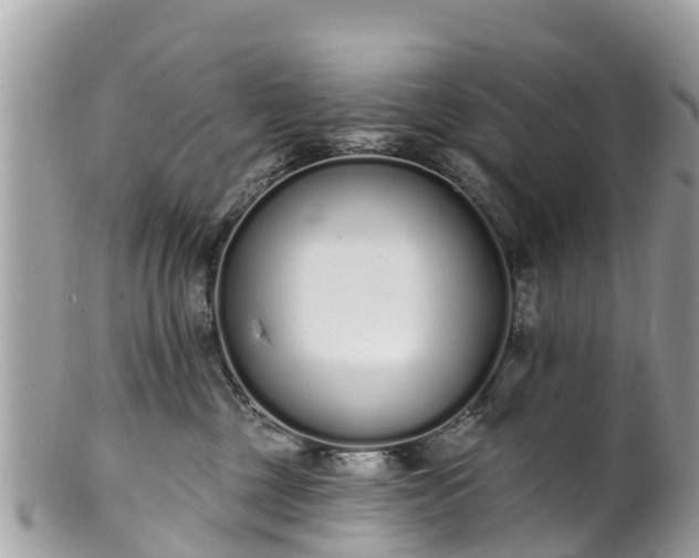 X0000101180377200807071251