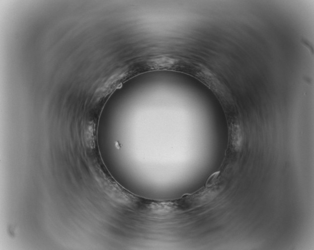 X0000101180378200807071251
