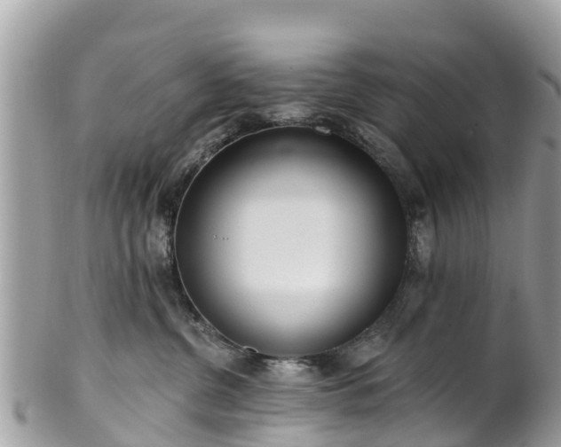 X0000101180380200807071251