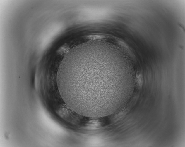 X0000101180381200807071251