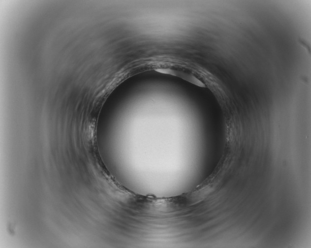 X0000101180382200807071251