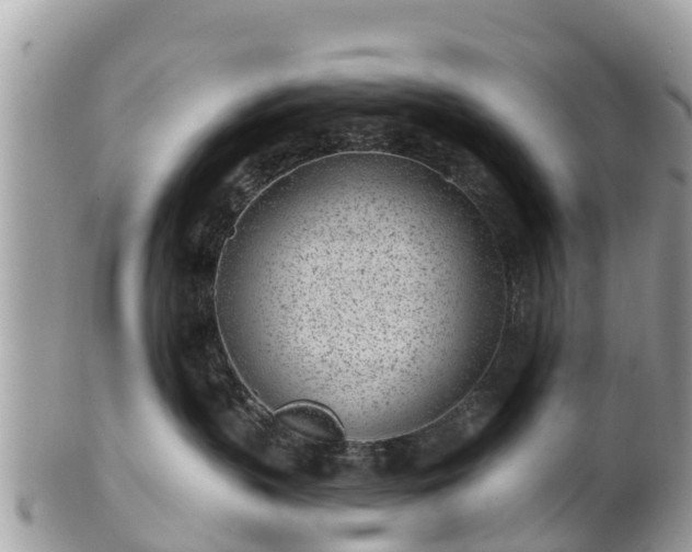 X0000101180383200807071251