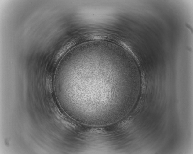 X0000101180386200807071250