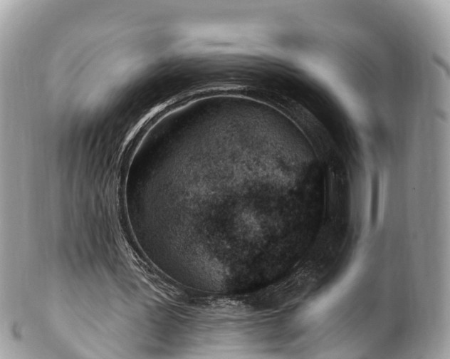 X0000101180387200807071250