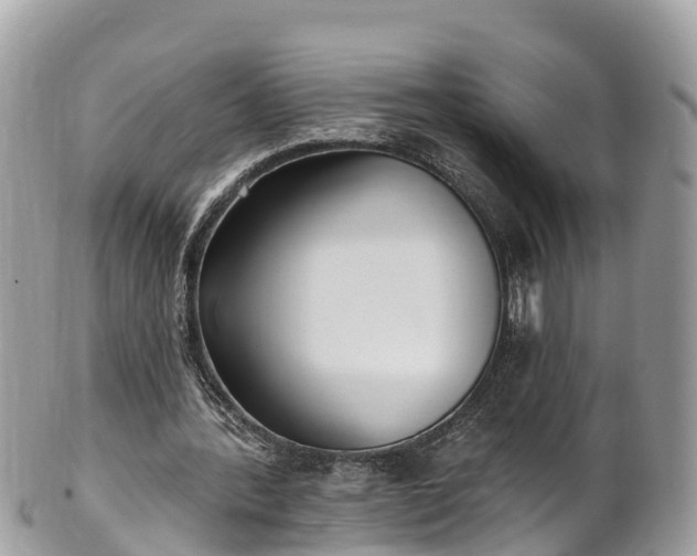 X0000101180388200807071250