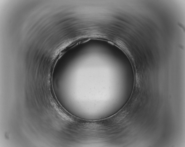 X0000101180389200807071250