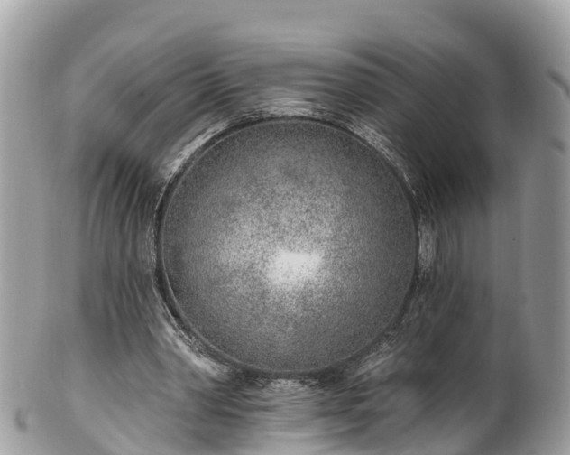 X0000101180390200807071250