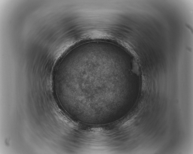 X0000101180391200807071250