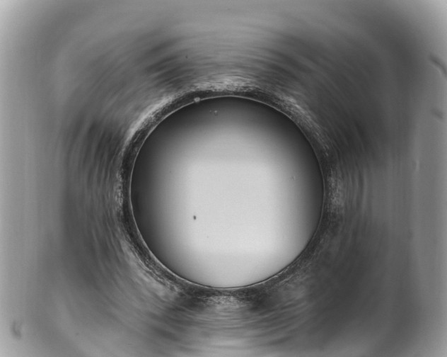 X0000101180392200807071250