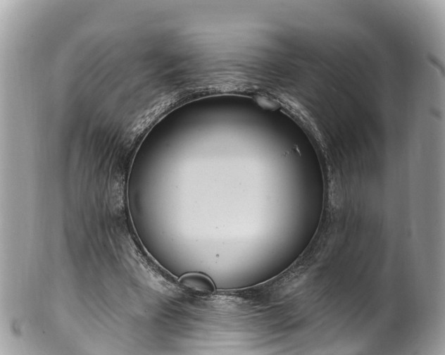 X0000101180393200807071250