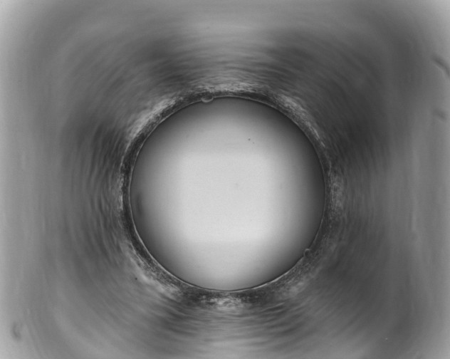 X0000101180395200807071250