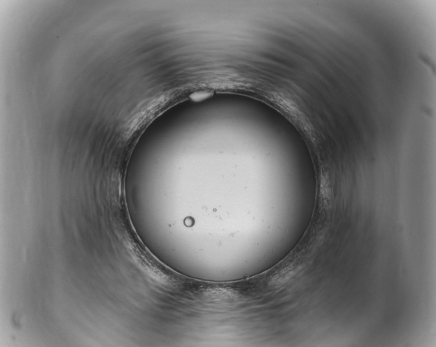 X0000101180397200807071250