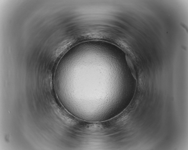 X0000101180398200807071250