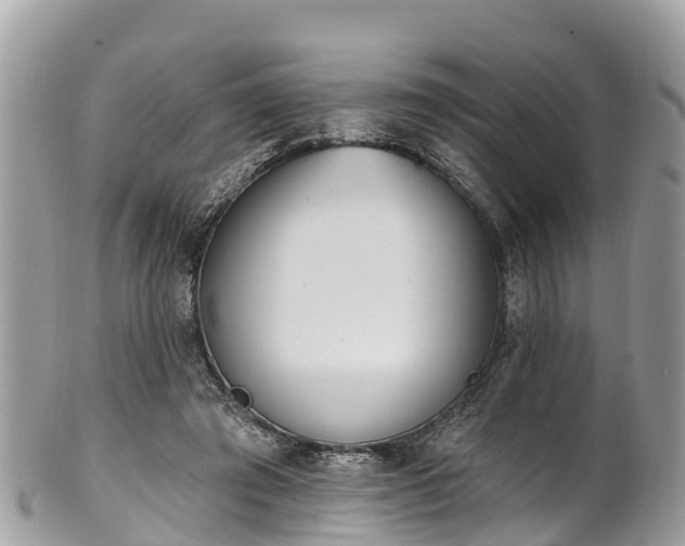 X0000101180401200807071250