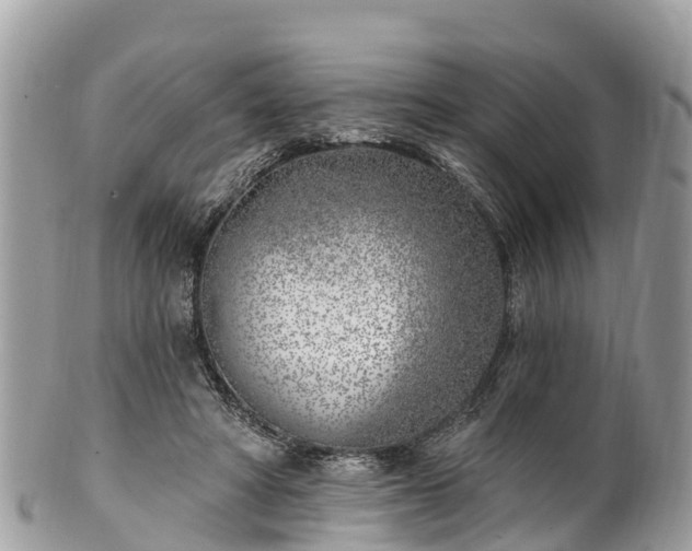 X0000101180402200807071250