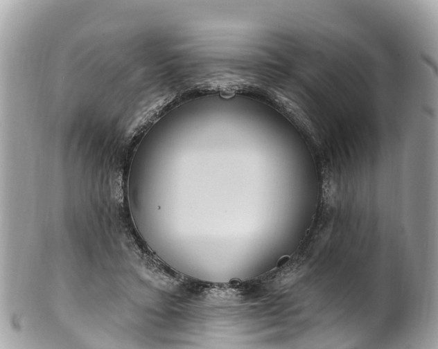 X0000101180403200807071250