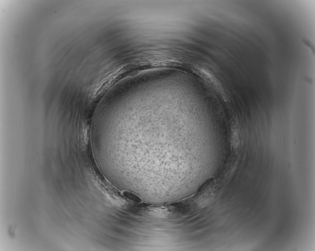 X0000101180405200807071250